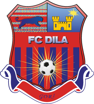 Dila Gori